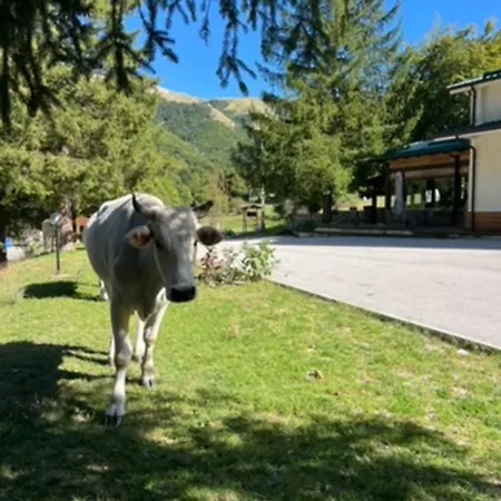 Campo Stella Leonessa